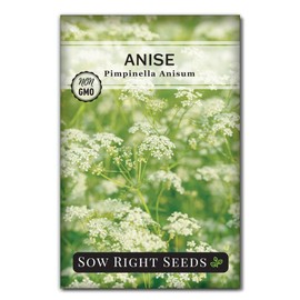 Sow Right Seeds - Anise Seed for Planting - Aromatic Culinary Herb to Plant Your Home Herb Garden - Indoors or Outdoors - Swallowtail Host Plant - Non-GMO Heirloom Seeds - A Great Gardening Gift (1)