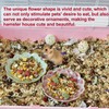 4PCS Ceramic Hamster Food Dish,Sunflower Guinea Pig Food Bowls 4.5in