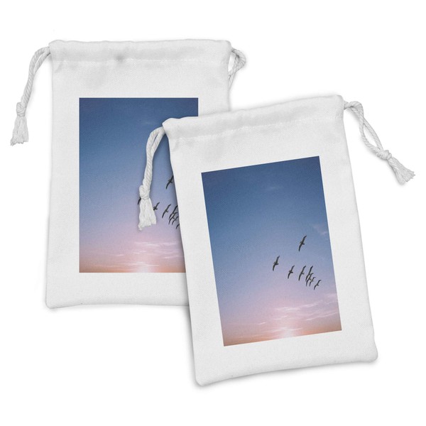 Lunarable Pelican Fabric Pouch Set of 2, Vivid Sky Panorama