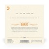 D'Addario Banjo Strings, Nickel-Plated Steel, EJ61, Medium Gauge 10-23, 5-String