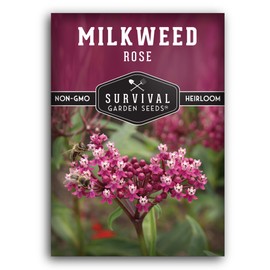 Rose Swamp Milkweed Seeds for Planting - Pack with Instructions to Grow Asclepias Incarnata Wildflowers - Attract Monarch Butterflies - Non-GMO Heirloom Variety - Survival Garden Seeds