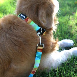 azuza Dog Collar and Leash Set, Fun Patterns, Adjustable Nylon Collar with Matching Leash for Small Medium and Large Dogs