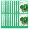 (20 sheets)Innisfree Energy Mask Centella asiatica / (20매)이니스프리 에너지 마스크 병풀