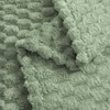 Vessia Flannel Fleece Throw Blanket, 3D Jacquard Sage Green Fuzzy