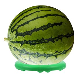 CLISPEED Pack of 10 Watermelon Stands Watermelon Support Stand Melon Cradle Watermelon Display Holder Mounting Ring Watermelon Holder for Garden Melon Melons