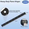 12PCS Black Continuous & Piano Hinges, 16Inch, Heavy Duty 304