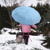 Poligono Windproof Umbrella Automatic Open and Close for Men and