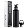 Sivaphe Insulated Water Bottle with Straw and 2 Lids Stainless