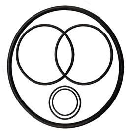 Pool Pump Gasket Seal O-Ring Rebuild Repair Kit Fit for Pentair Pool Pump Challenger Go-Kit 5 Including PS-200 Shaft Seal & O-Rings