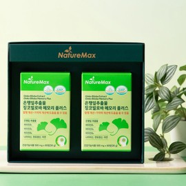Ginkgo Leaf Extract Ginkgo Biloba Memory Plus Blood Circulation Nutrient Memory / 은행잎추출물 징코빌로바 메모리플러스 혈액순환영양제 기억력