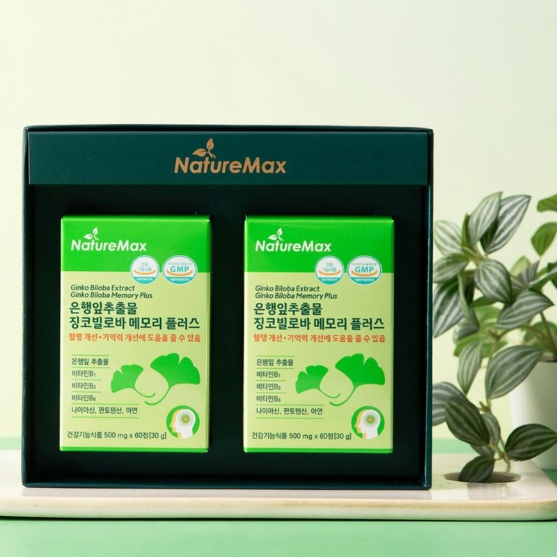 Ginkgo Leaf Extract Ginkgo Biloba Memory Plus Blood Circulation Nutrient