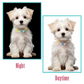 30 cm Luminous Colourful Beads Pet Necklace - Dog Collar and Cat Collar, Glow-in-the-Dark for Small Dogs, Cats & Puppies, Visible & Stylish at Night, Everyday Pet Supplies