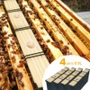 4 Pack 6.5L Bee Feeder, Bee Hive Feeder, Beehive Frame