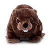 The Petting Zoo Beaver Stuffed Animal, Gifts for Kids, Wild