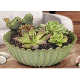 Small Succulent Pots Flower Planters Special Design Fun Garden Animal Ceramic Pots with Drainage Hole for Home Office Desktop Decoration(Bird) No Plants Included