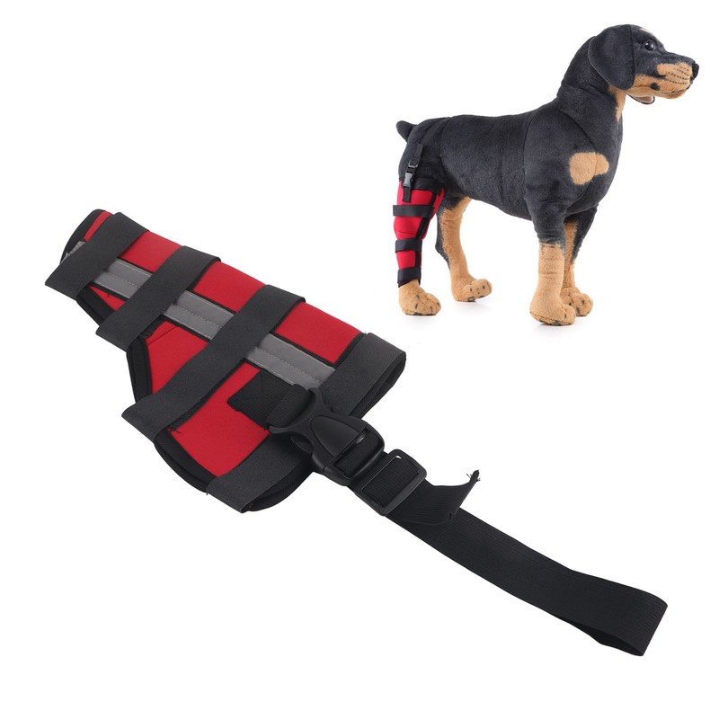 Dog Hind Leg Brace Breathable Comfortable Stable Support Pet Knee