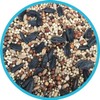 Unbranded 40 lb Bag of Classic Wild Bird Seed –