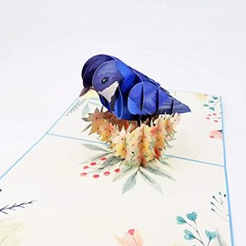 Blue Jay Bird Pop Up Birthday Card - Happy Birthday Pop Up Card for son, daughter, wife, friends, Nature, Wild Animal, Bird lovers | Pop Card Express (Blue Jay Bird Pop Up Card)