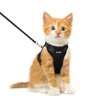 Dooradar Cat Harness and Leash Set, Escape Proof Safe Adjustable