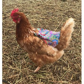 Twisted 2 Perfection Reversible Standard Size Chicken Saddles Hen Aprons (Blue & Purple Set of 2)