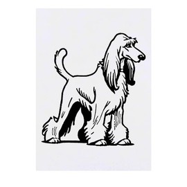'Afghan Hound Dog' Temporary Tattoo - Water Resistant, Skin-Safe, Non-Toxic Transfer (TO00071257)
