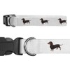 Small 'Dachshund' Dog Collar (PR00015941)