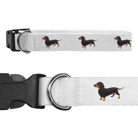 Small 'Dachshund' Dog Collar (PR00015941)