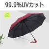 Arcade Folding Umbrella, Lightweight, Men's, Women's, Automatic Opening/Closing, green