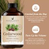 Handcraft Blends Cedarwood Essential Oil - Huge 118 ml -