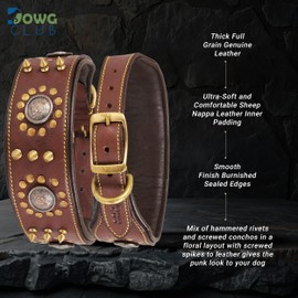 DowgClub | Punk Series Genuine Leather Dog Collar | Full Grain, Saddle Grade, Heavy Duty | Luxury, Stylish, Comfortable, Best for Medium, Large, XL Breeds | (L (Neck Size 18.5"-22.5"), Brown)