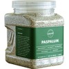 Lawnifi Brand Seashore Paspalum Grass Seeds for Lawn, 1 lb