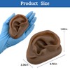 SimCoach Modelo de oreja de acupuntura, réplica de oreja artificial
