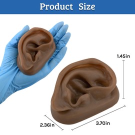 SimCoach Modelo de oreja de acupuntura, réplica de oreja artificial derecha para enseñanza de terapia auricular, práctica de perforación, audífonos, exhibición de joyas (negro)