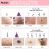 PAKISS Precision Beauty Device with Fine/Thick Needle Tips for Skin
