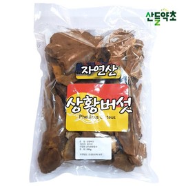 Premium dried Sanghwang mushrooms 500g natural Sanghwang from China / 프리미엄 건조 상황버섯 500g 중국산 자연산 상황