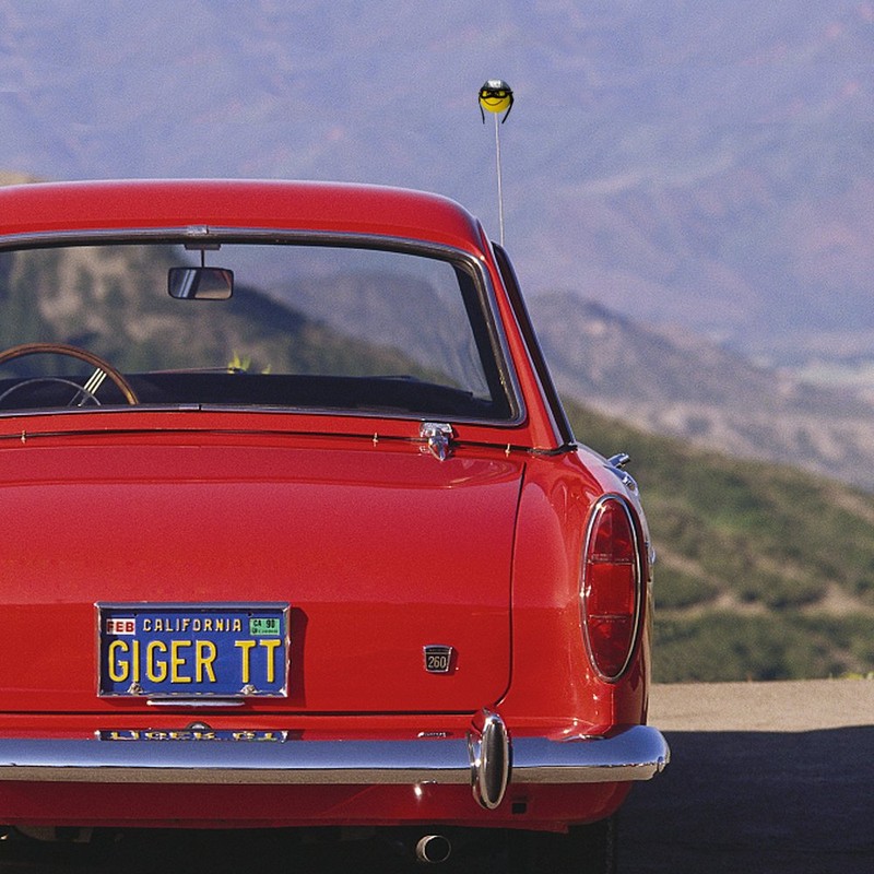 YGMONER Cute Pilot Foam Ball Car Antenna Toppers Exterior Decorations