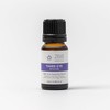 Zea Essentials Third Eye Chakra Blend 100% Pure Essential Oil
