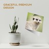 1 x Greeting Card Little Cute Meerkat Animals Mongoose -