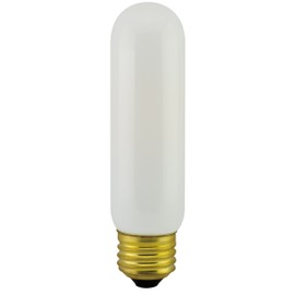 Promotion 2PK LED T10 3.5W, 25W/120V Incandescent Equivalent, Completely Traditional T10 Shape Glass Bulbs(3.5Wx2PCs)