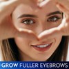 Dermaworks 100% Natural Eyebrow Enhancing Growth Serum natürlich. for Women