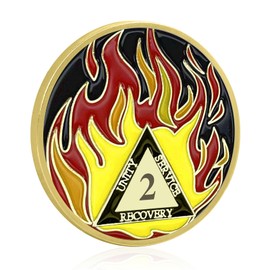 Sobriety Coin Month Sober Anniversary Golden Flames Recovery Token NA AA, AA Recovery Medallion Chip Great Sobriety Gifts for Men Women Alcoholics Anonymous Plastic Case (Flame Coin-2 Years)