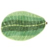 Leaf shaped Floor Mat Entrance Non slip Door Mat for