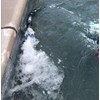 Polaris Tail Foam Replacement - Fits Polaris 180 280 360