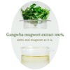 I'm from Miniatures of Rice Toner, Mugwort Essence, Fig Boosting