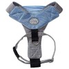Doggles V Mesh Dog Harness, Blue/Gray, XX Small