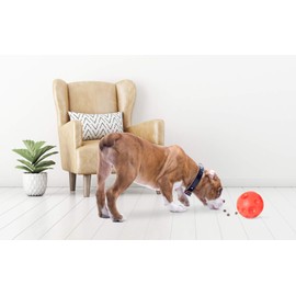Omega Paw Tricky Treat Ball, Large