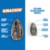 SMACKIN' - Jumbo Roasted Sunflower Seeds, No Salty Burn, American