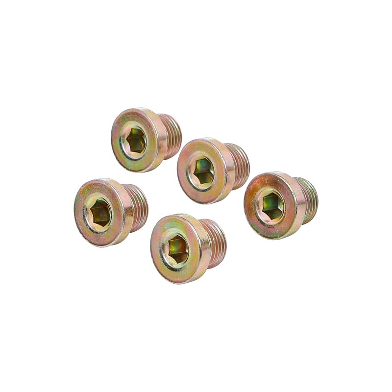 BGS M17x1,5 drain plugs, 5 pieces for product126, BGS-126-SM17