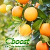 C-Boost - Gomitas con Multivitaminas y Minerales Suplemento alimenticio en