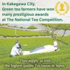 Premium Matcha Green Tea Powder from JAPAN | Japanese Tea